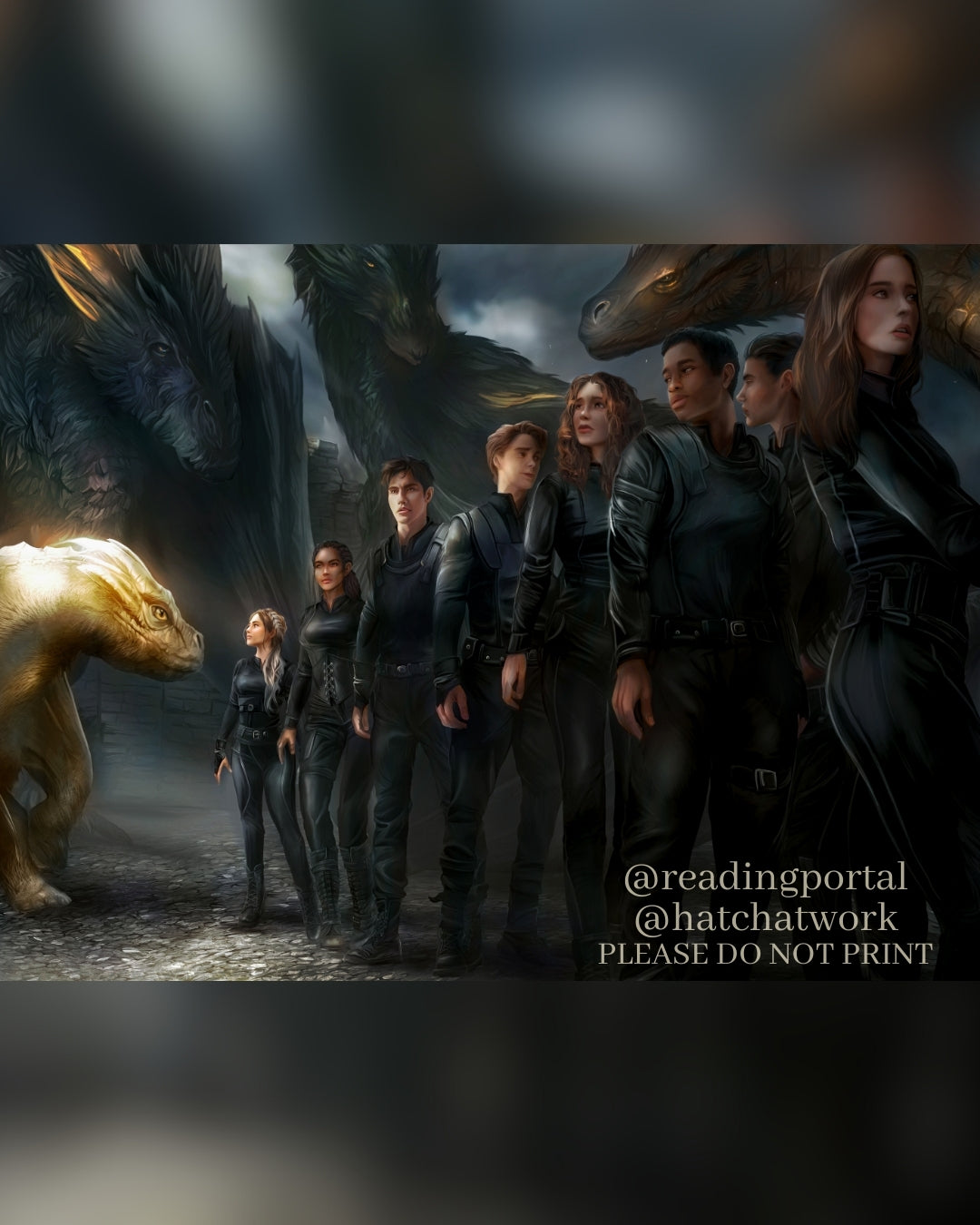 The Feathertail Premium Print, Fourth Wing