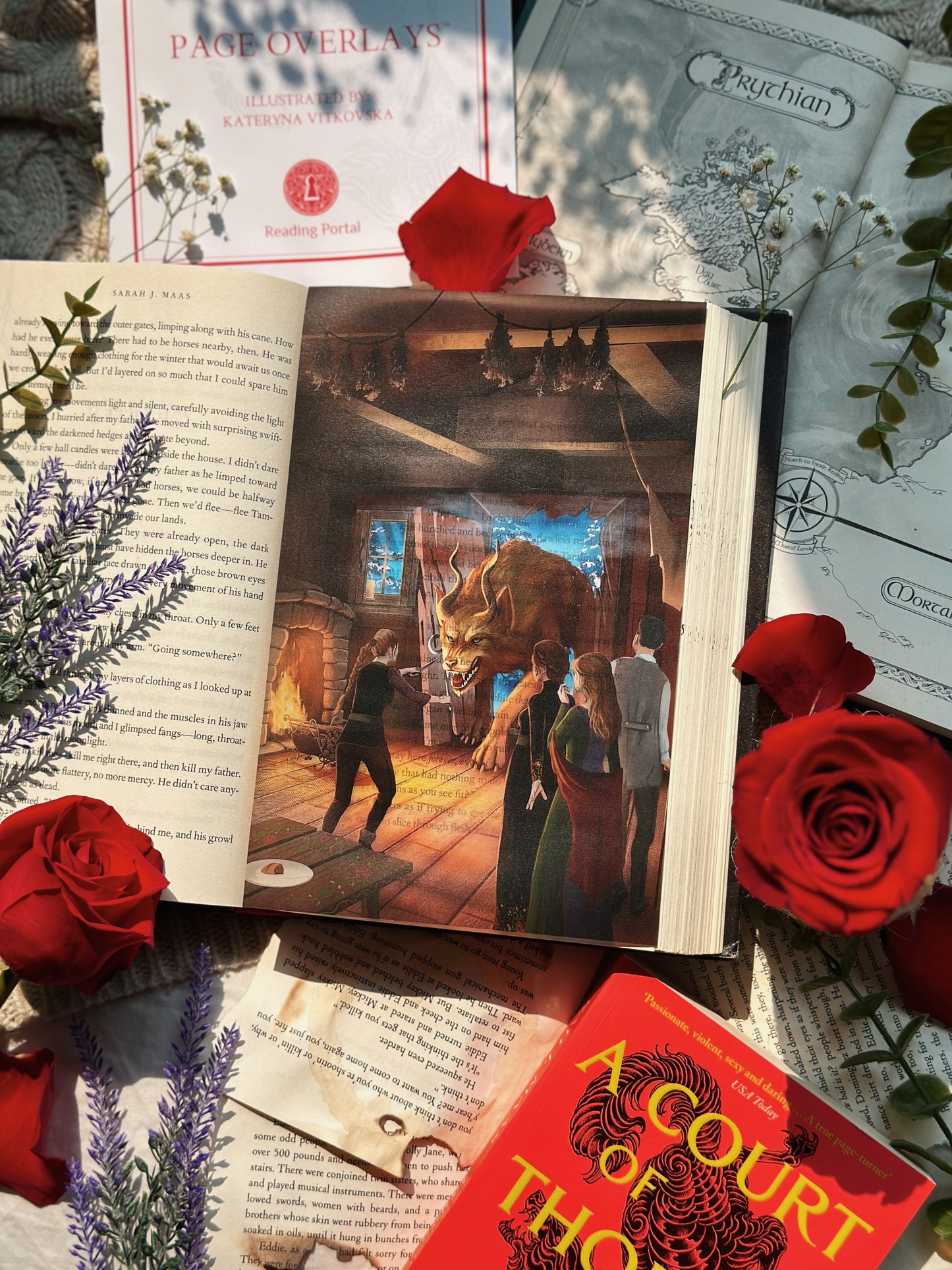 A Court of Thorns and Roses Page Overlays™