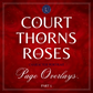 PRE-ORDER A Court of Thorns and Roses Character Portrait Page Overlays - Part 1