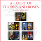 A Court of Thorns and Roses Page Overlay™ Bundle