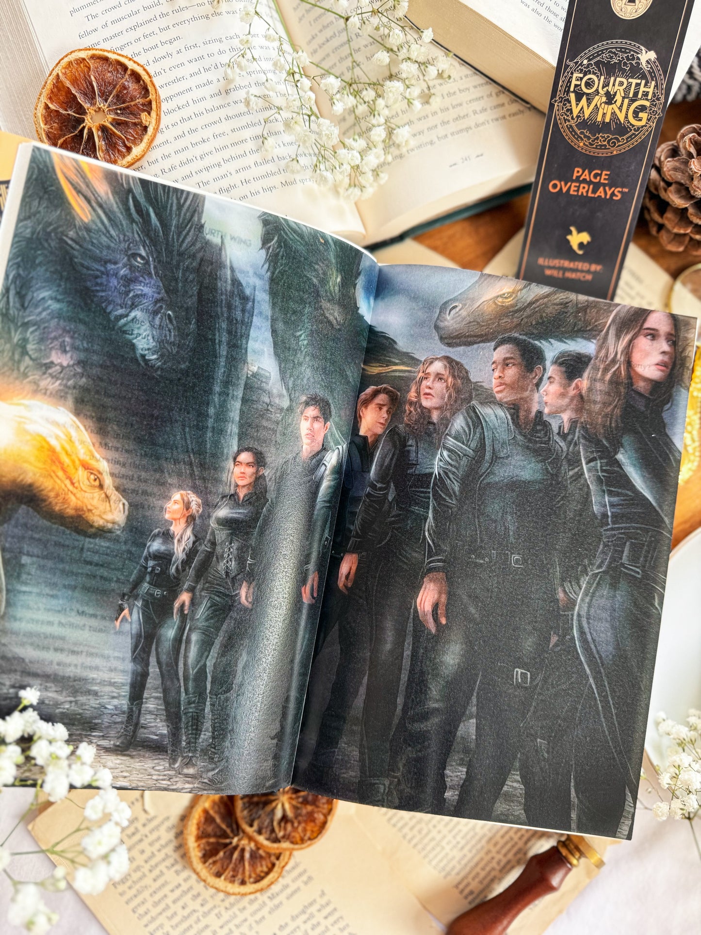 Fourth Wing Page Overlays™